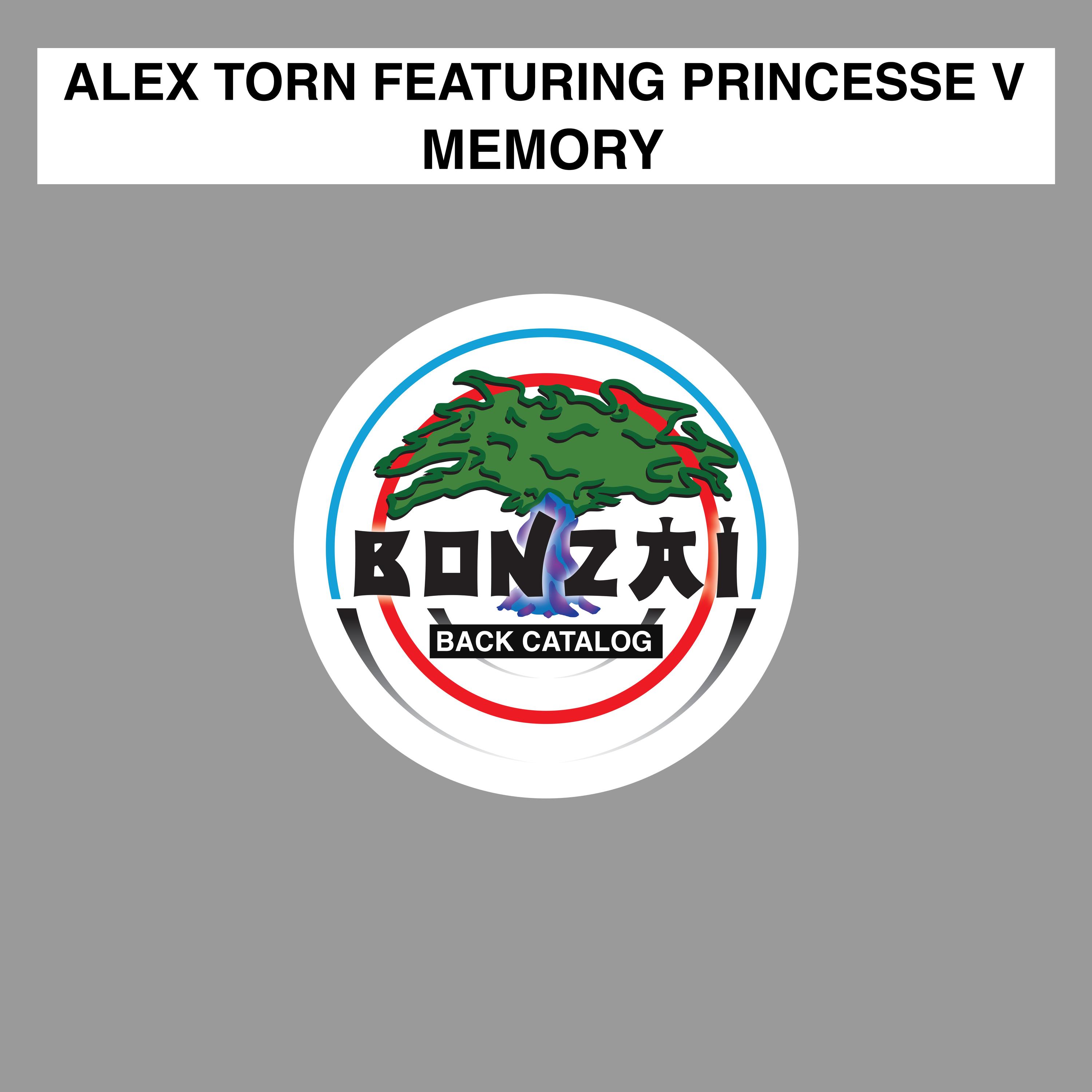 Memory ( feat. Princesse V)