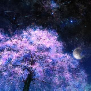 【纯音•听觉】沉醉于夏夜星光梦境