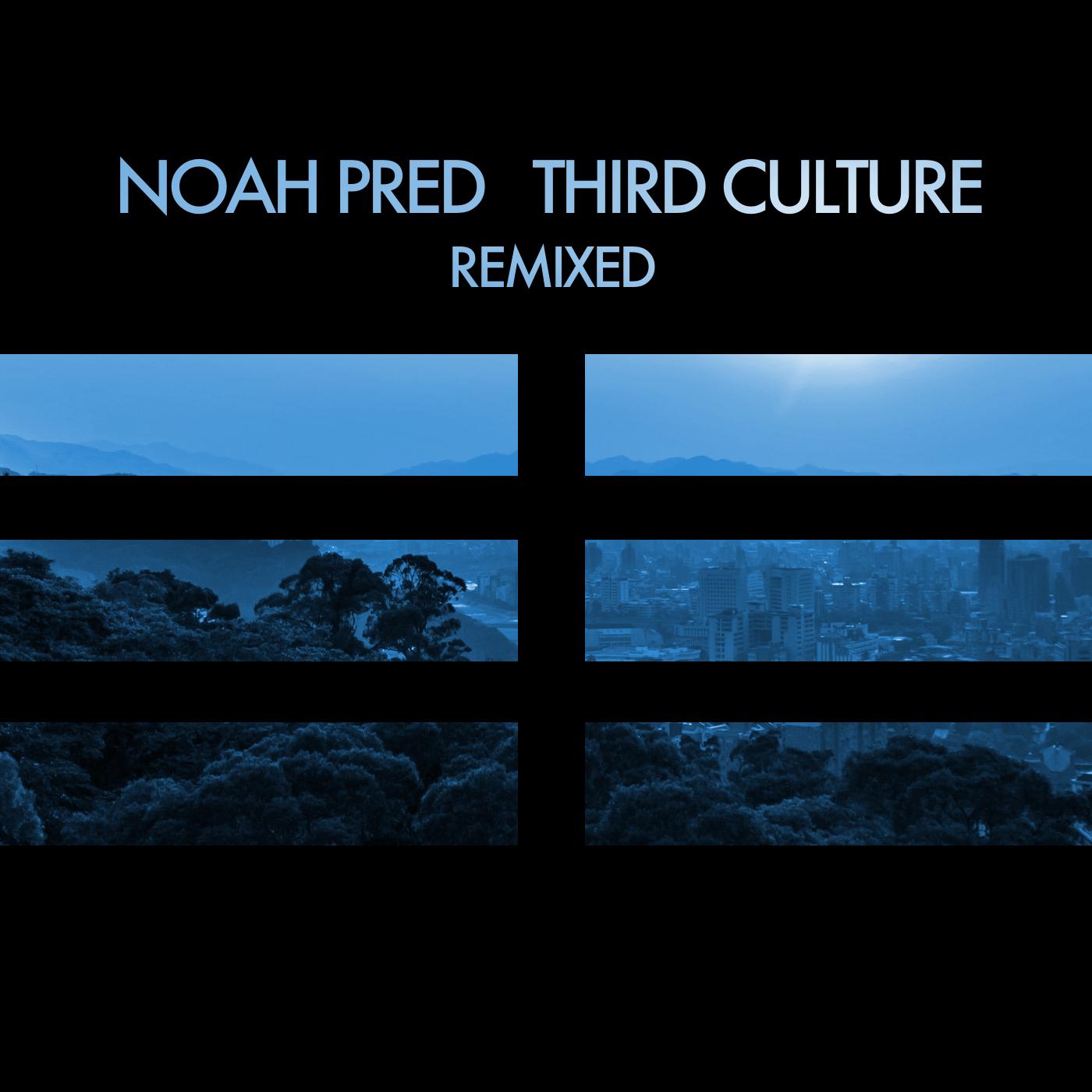 Third Culture Remixed