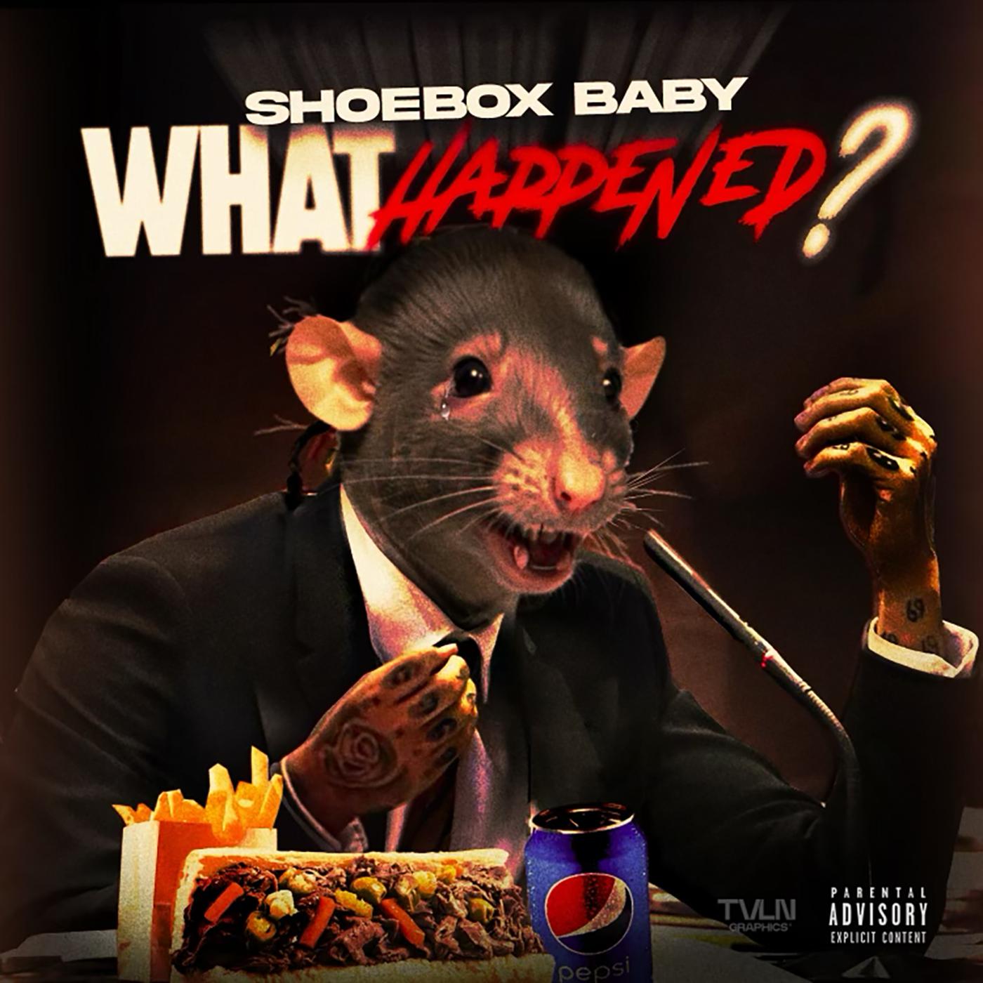 Shoebox Baby - What Happened?