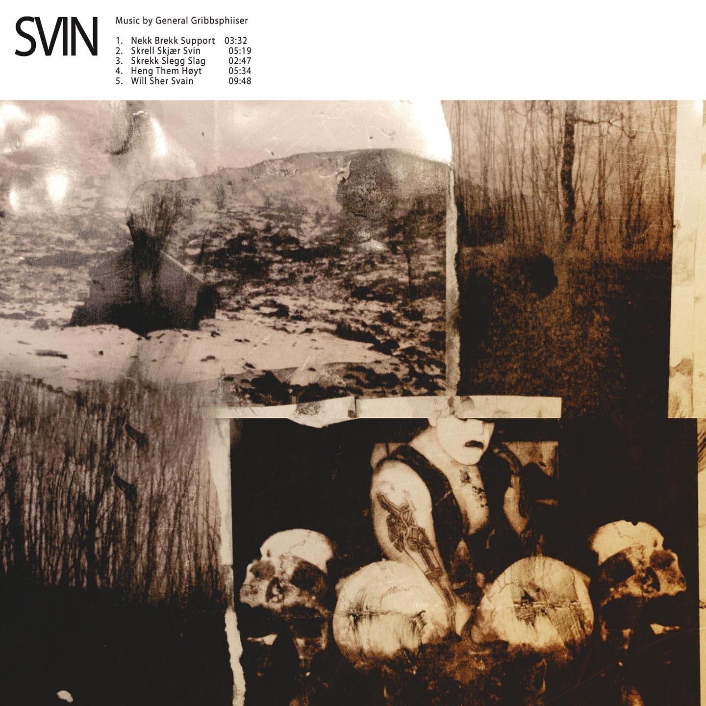 Svin