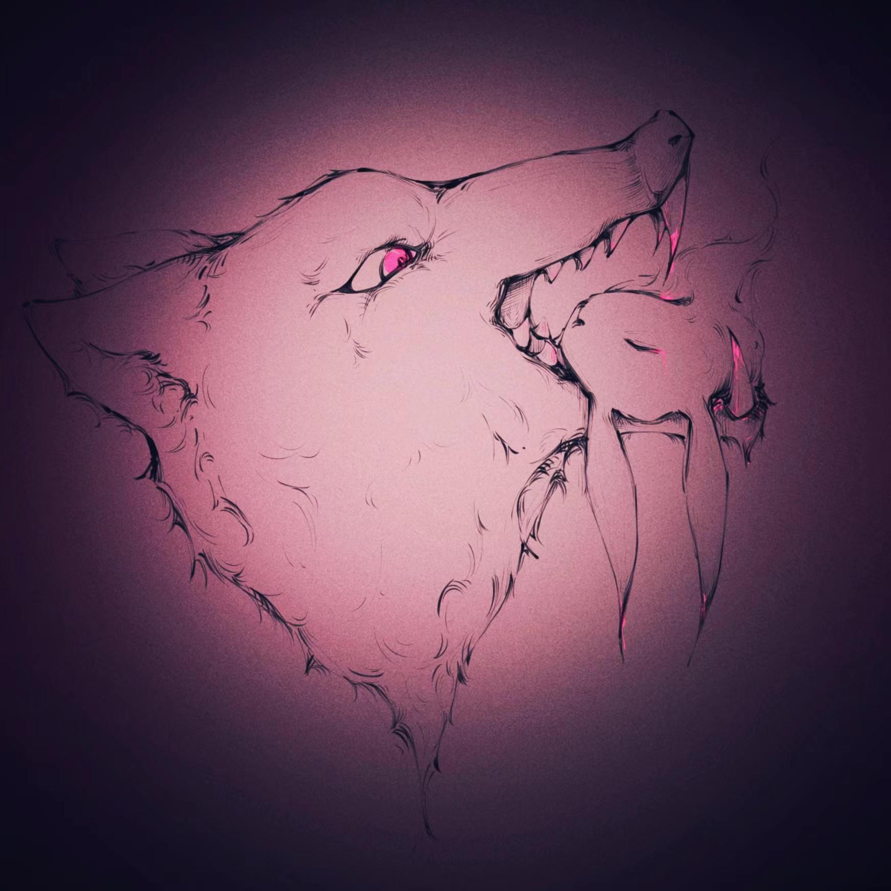 狼、兔子与安全感