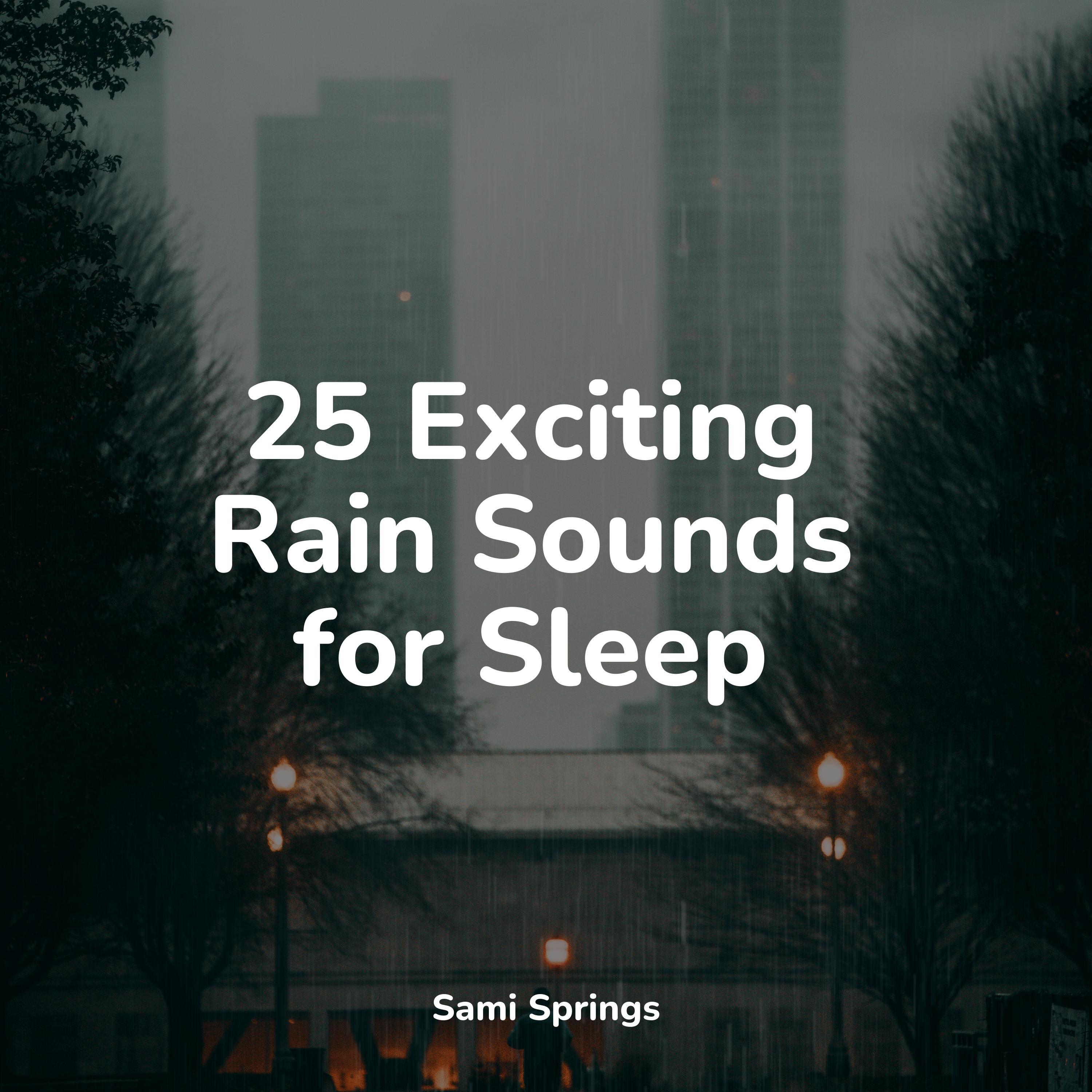 Weather Sounds - Rain Dripping from the Roof