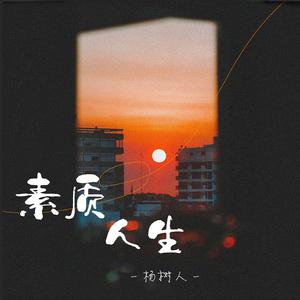 杨树人 - 青春的风(DJ九零版)