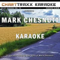 Goin' Through The Big D - Mark Chesnutt (PT karaoke) 带和声伴奏