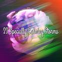 23 Specially Calming Storms专辑