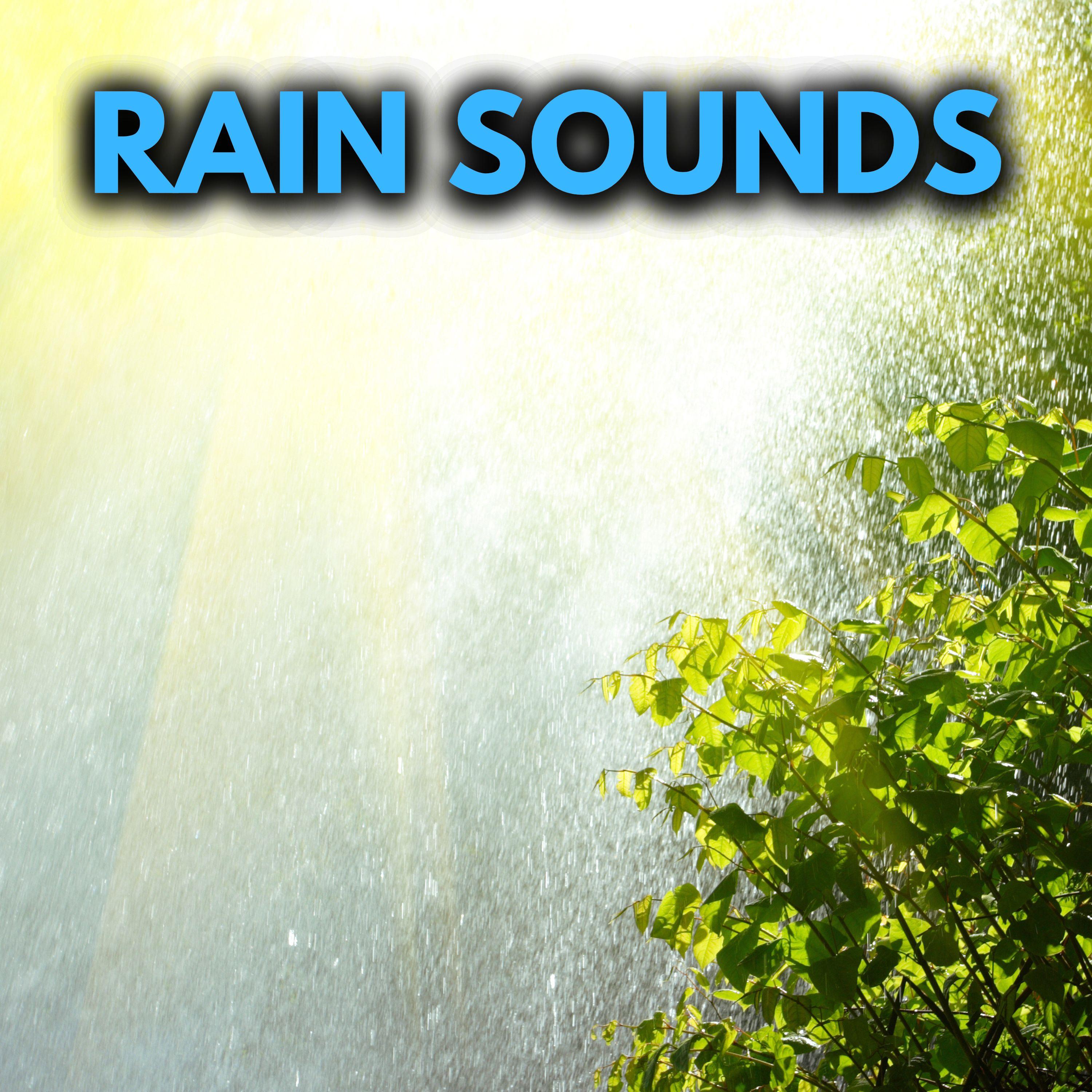 Relaxing Rain Sounds For Sleep - Nature Sounds for Sleep and Relaxation ...