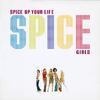 Spice Up Your Life (Stent Radio Instrumental)