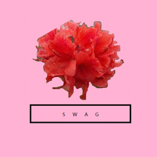 花都Swag