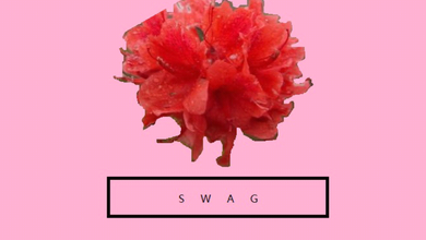 花都Swag