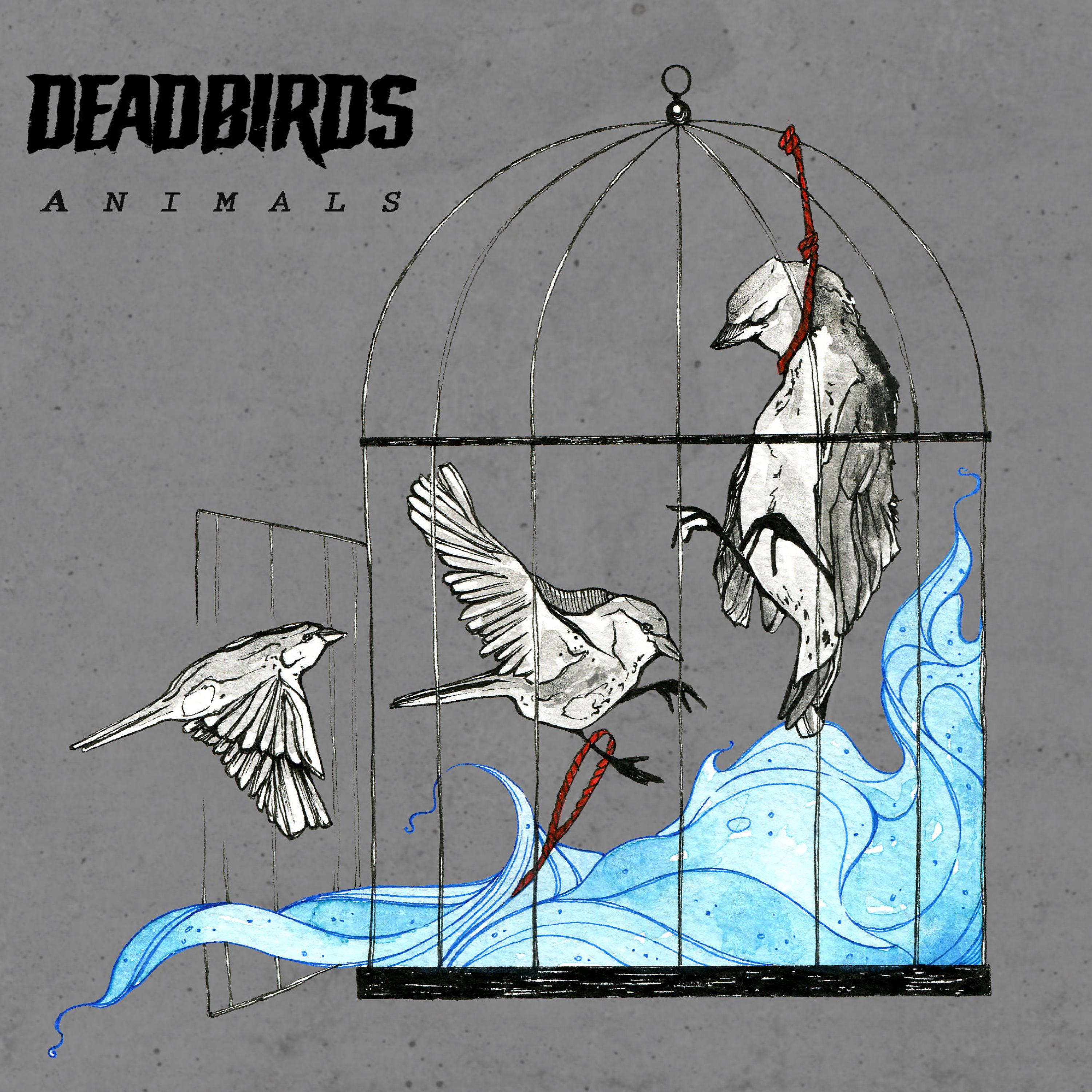 Animals
