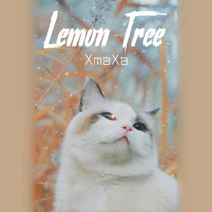 Lemon Tree(纯伴奏降3key) （扒带制作）