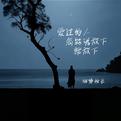 爱过的人怎能说放下就放下专辑