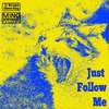 Richard Steinschlag - Just Follow Me