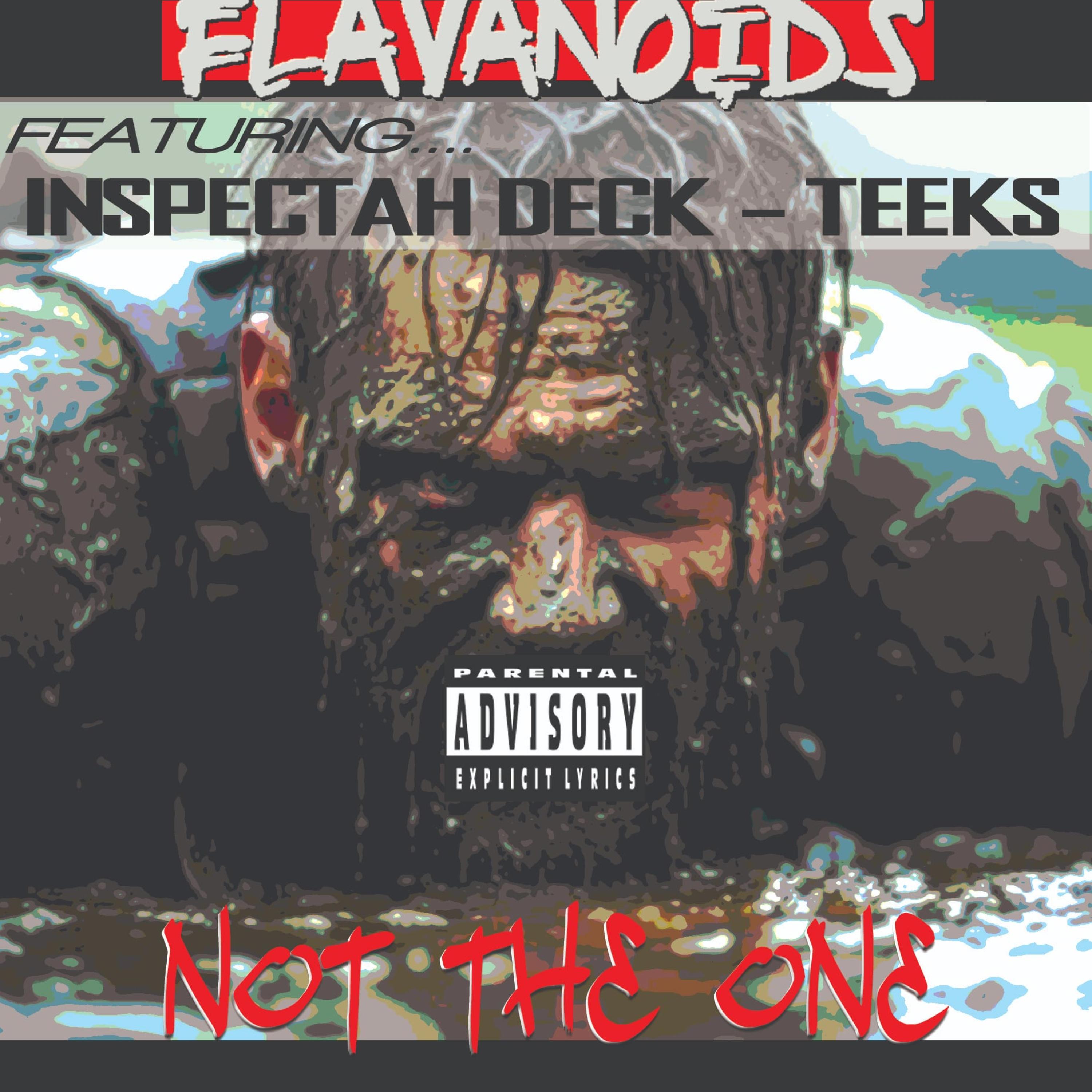 Not The One (feat. Inspectah Deck & Teeks)