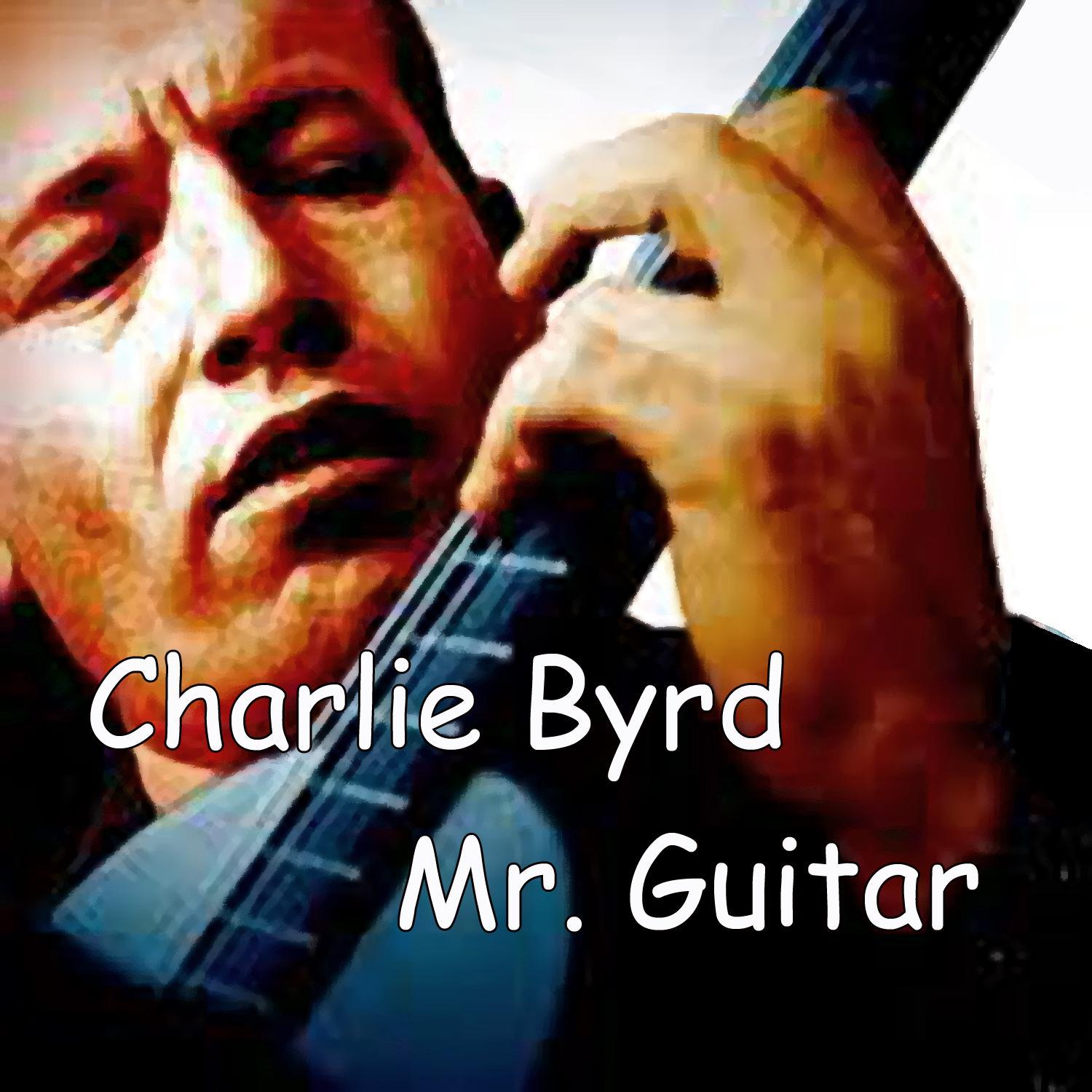 Mr. Guitar