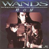 原版伴奏  WANDS - 時の扉