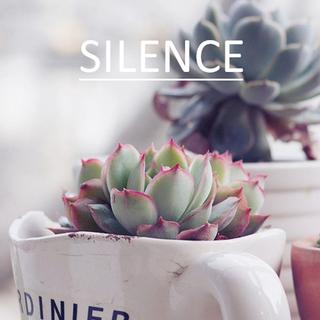 一盏清茗丨人间有味是清欢