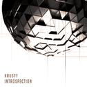 Introspection专辑