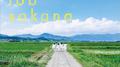sora tob sakana专辑