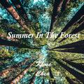 Summer In The Forest