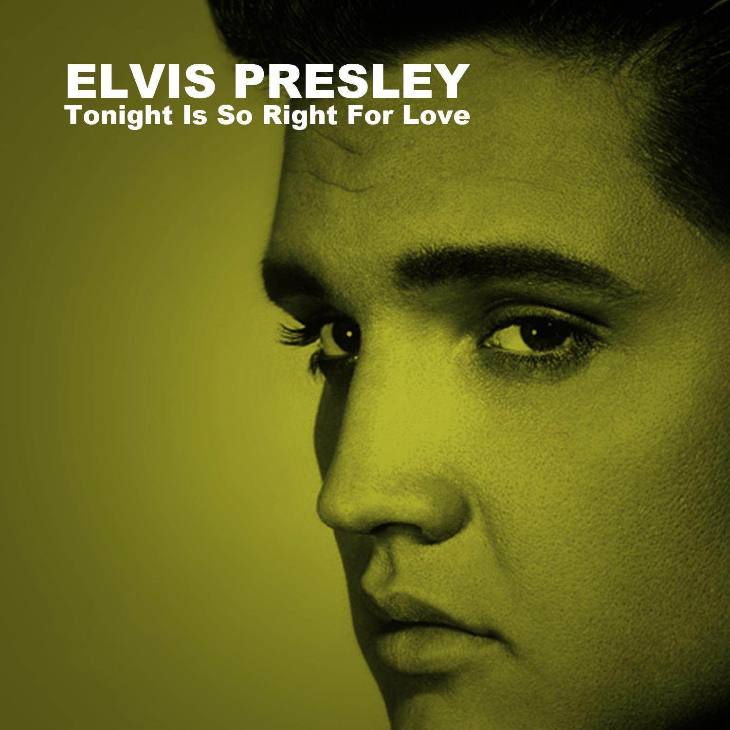 Tonight Is so Right for Love