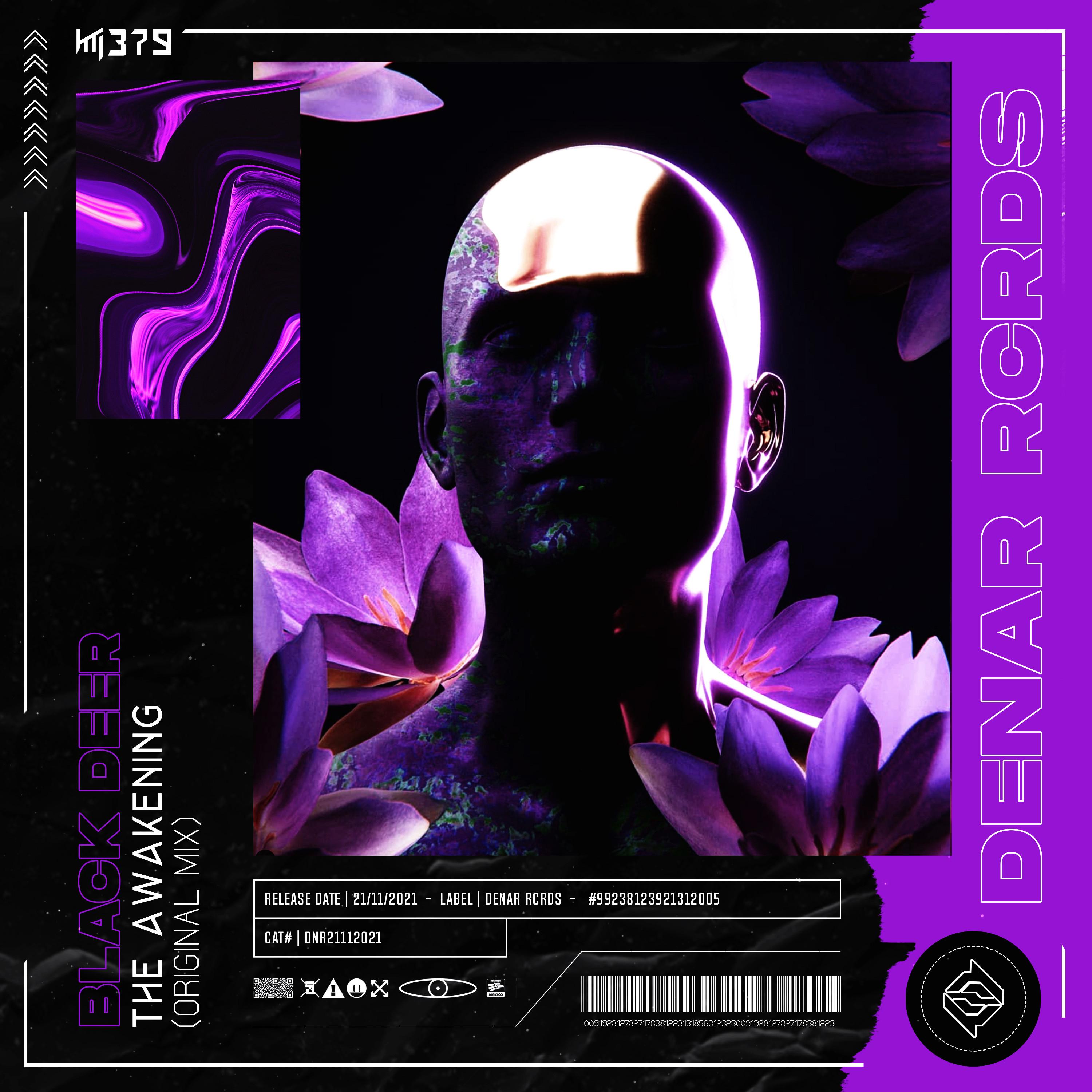 The Awakening (Original Mix)