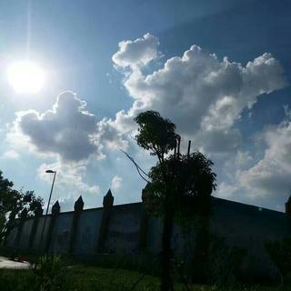 Free Jazz 自由爵士：自由却又不失秩序