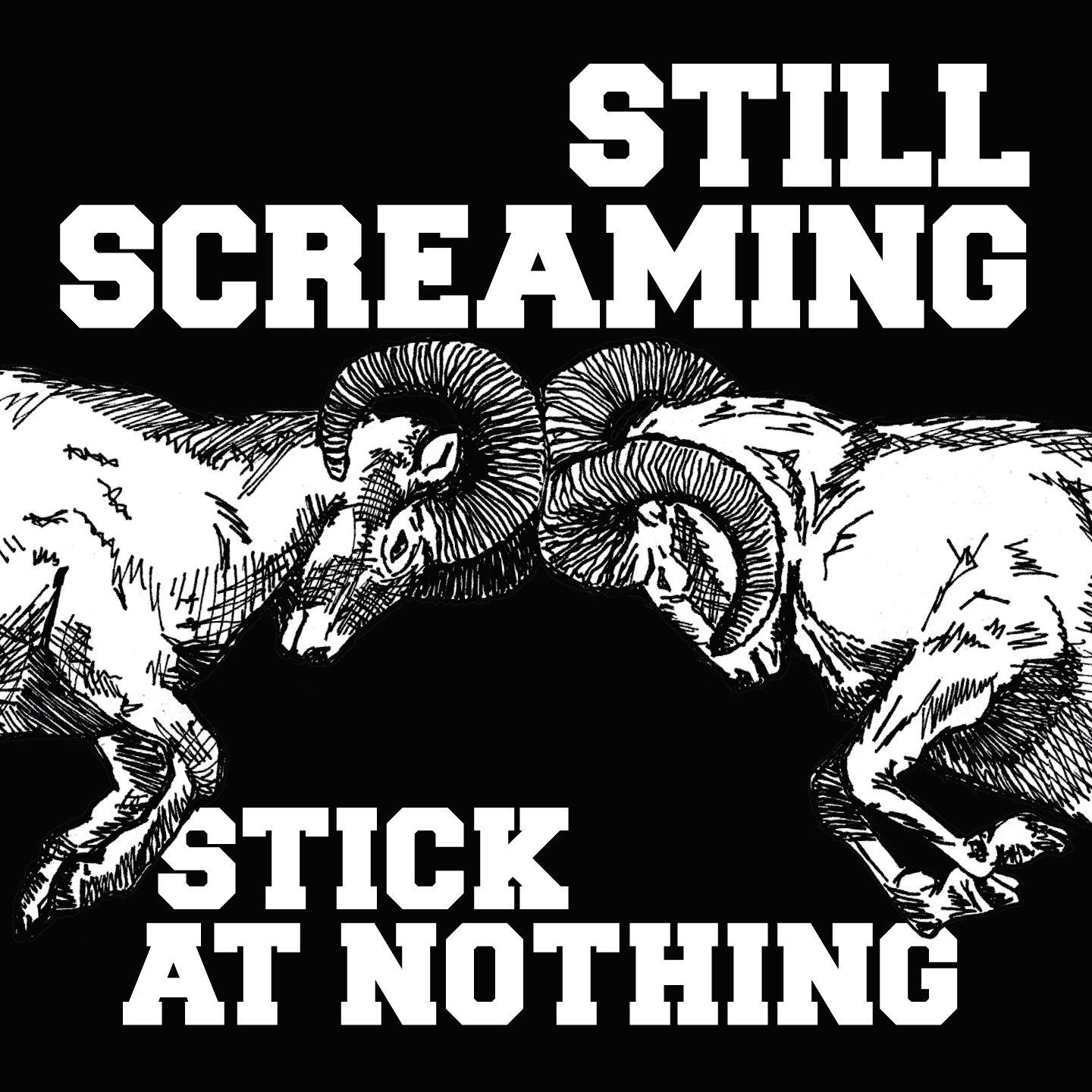 Stick At Nothing