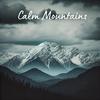 Calming Music Ensemble - Calm Meadow Birds