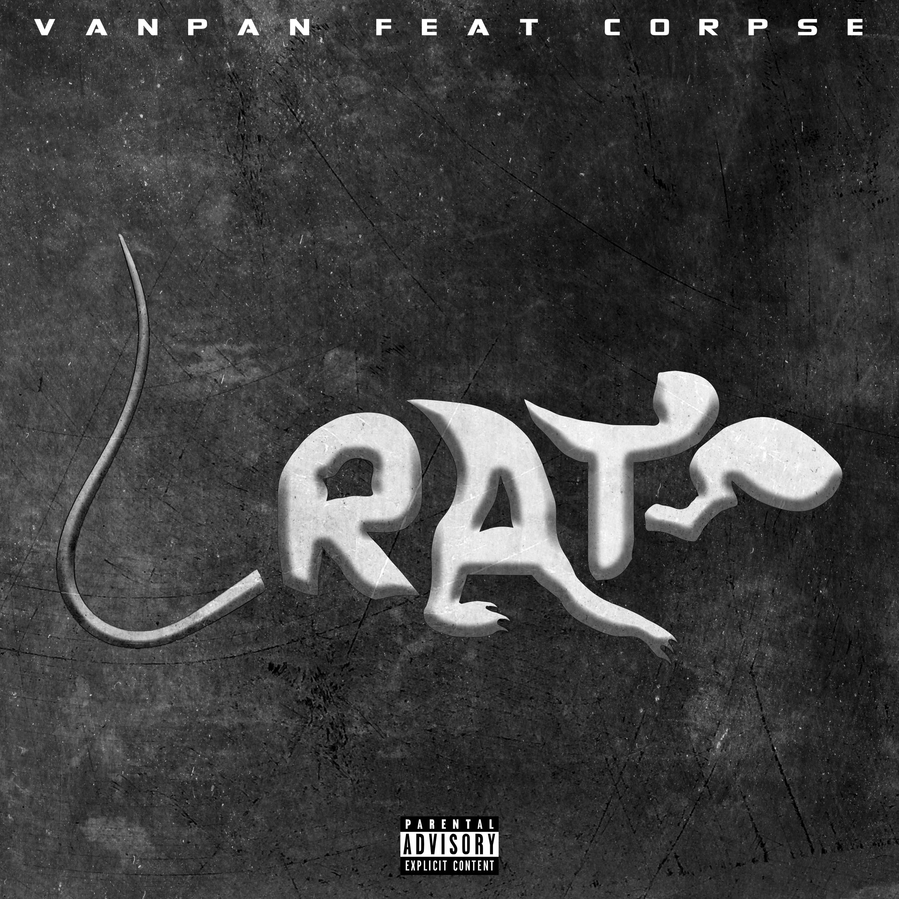 Rats