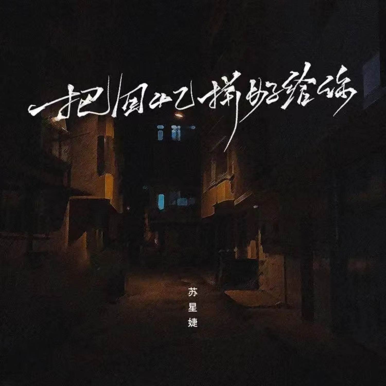苏星婕歌曲封面
