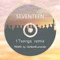 2017 SEVENTEEN 17 Songs Remix