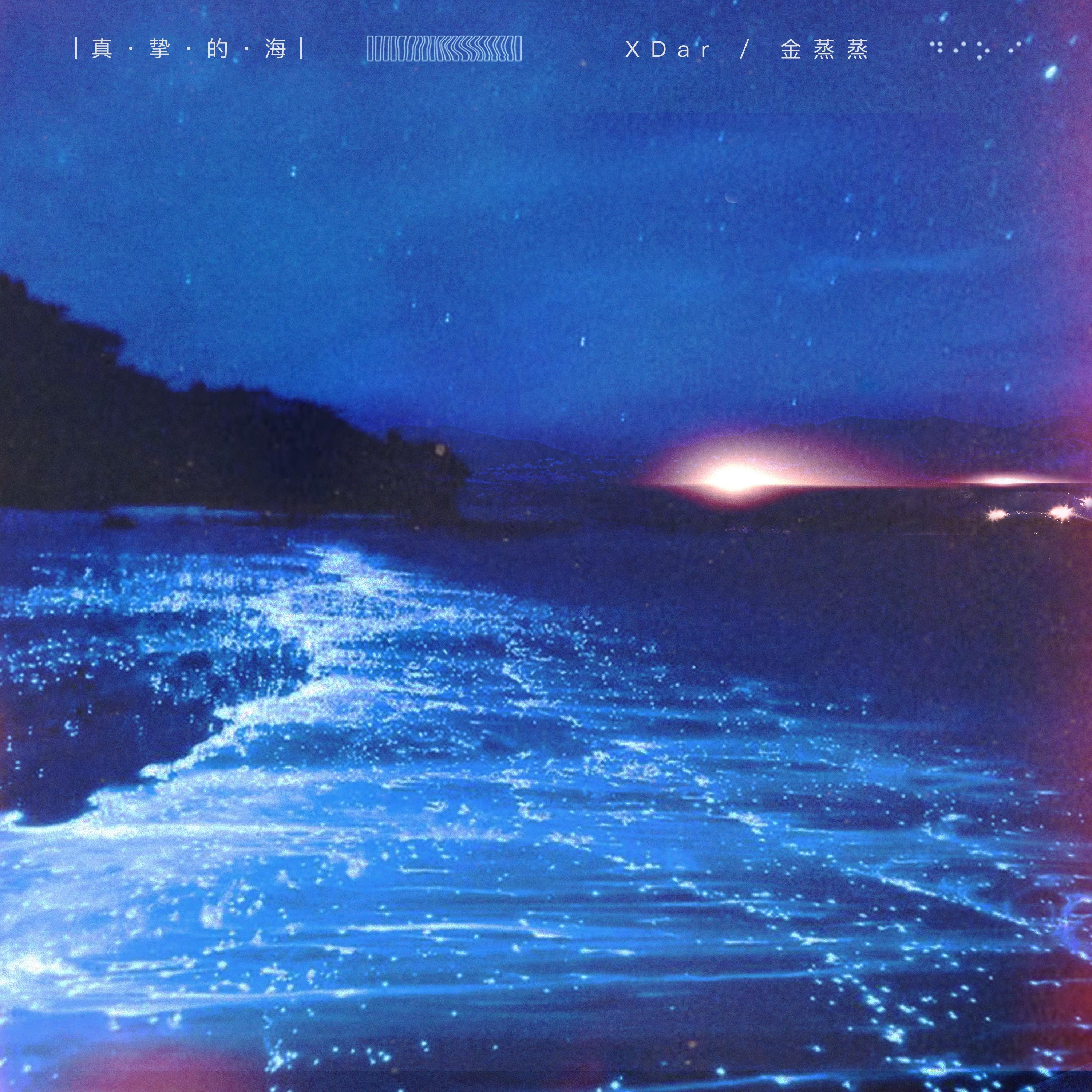 真挚的海