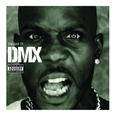 Best of DMX