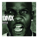 Best of DMX