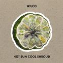 Hot Sun Cool Shroud专辑