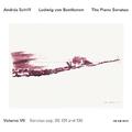 Ludwig van Beethoven - The Piano Sonatas Vol. VII