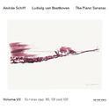 Ludwig van Beethoven - The Piano Sonatas Vol. VII专辑