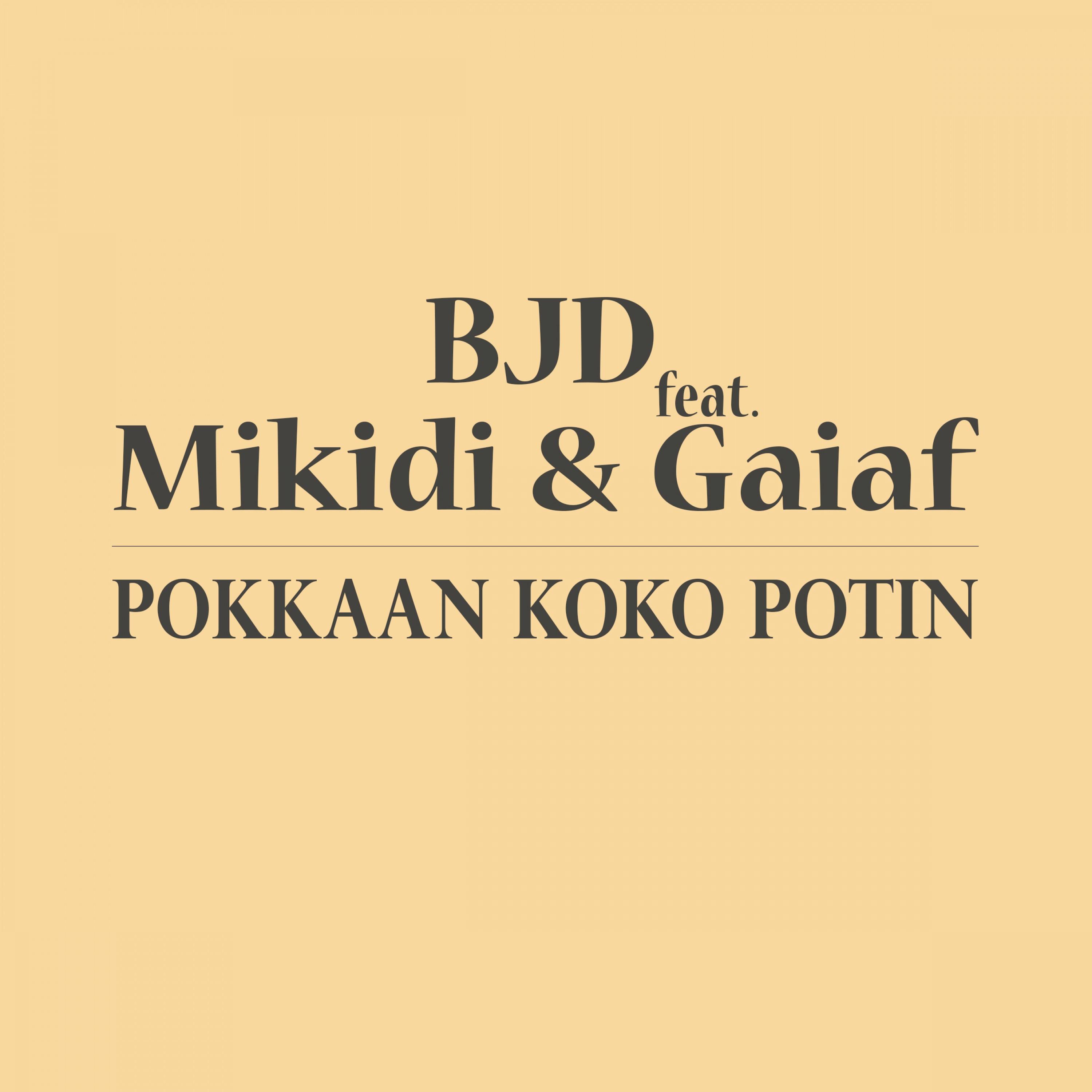 Pokkaan Koko Potin