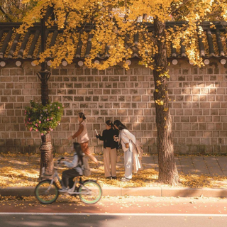 纯音漫游指南：从雨声到星河