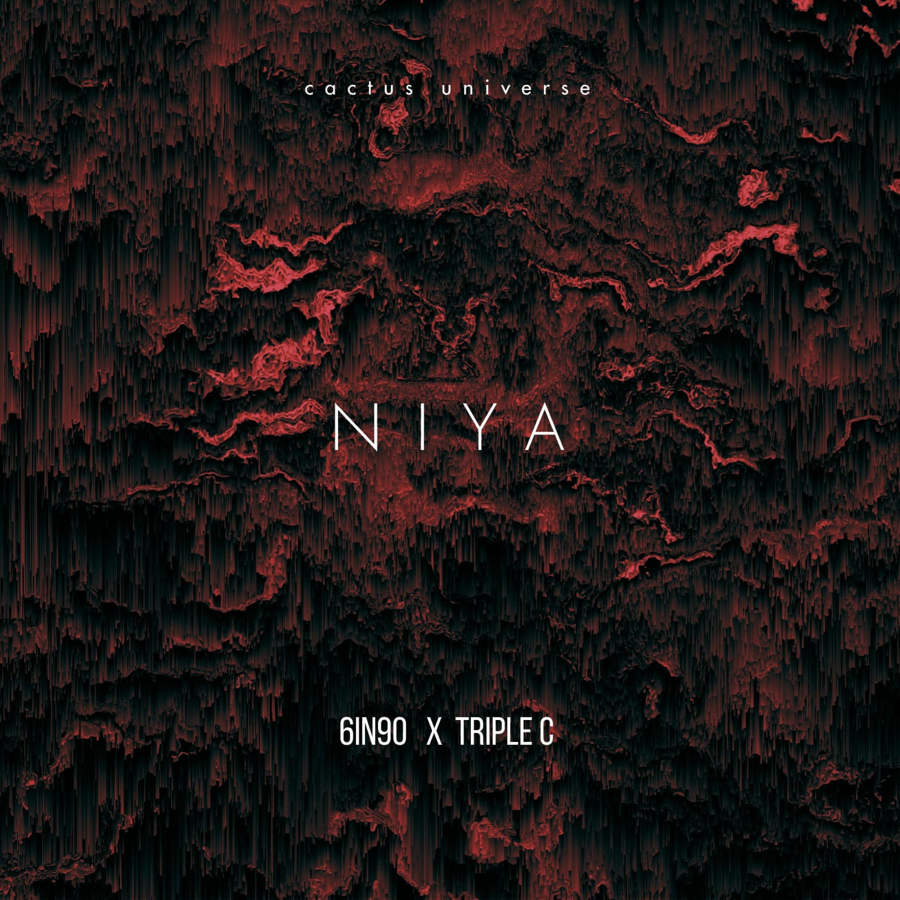 Niya (feat. triple C)