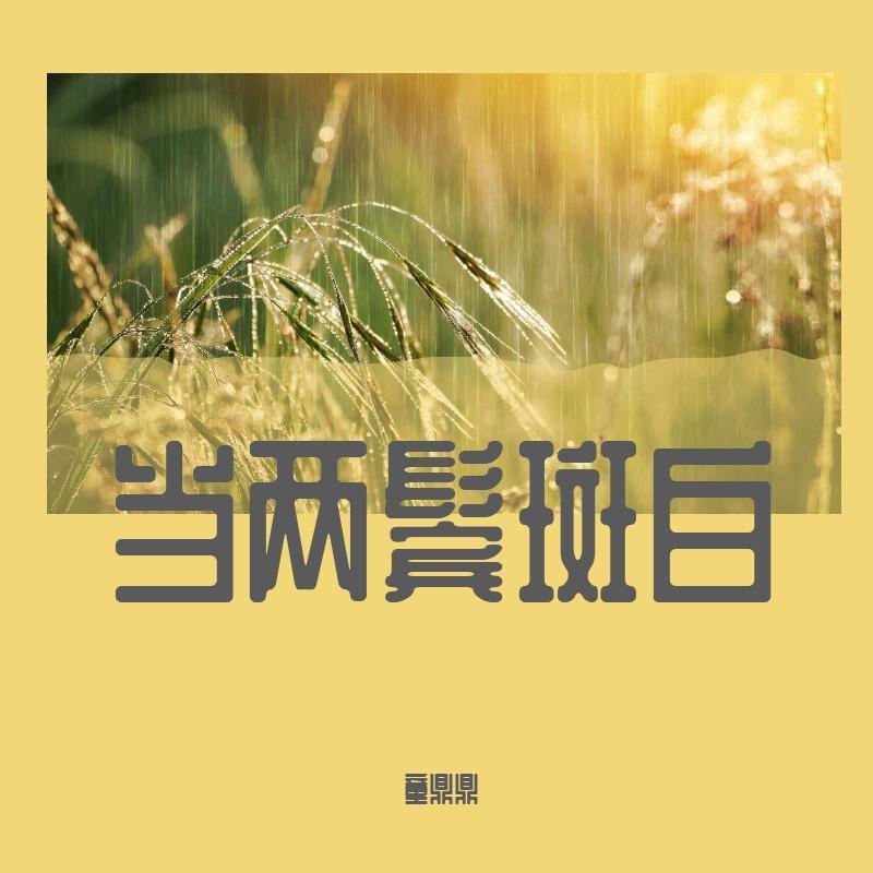 当两鬓斑白