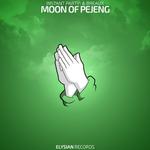 Moon of Pejeng专辑