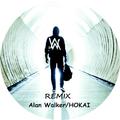 Faded Alan Walker/HOKAI Remix