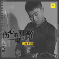 王铁辉-伤心的酒一喝就醉(DJ苏平版) 伴奏