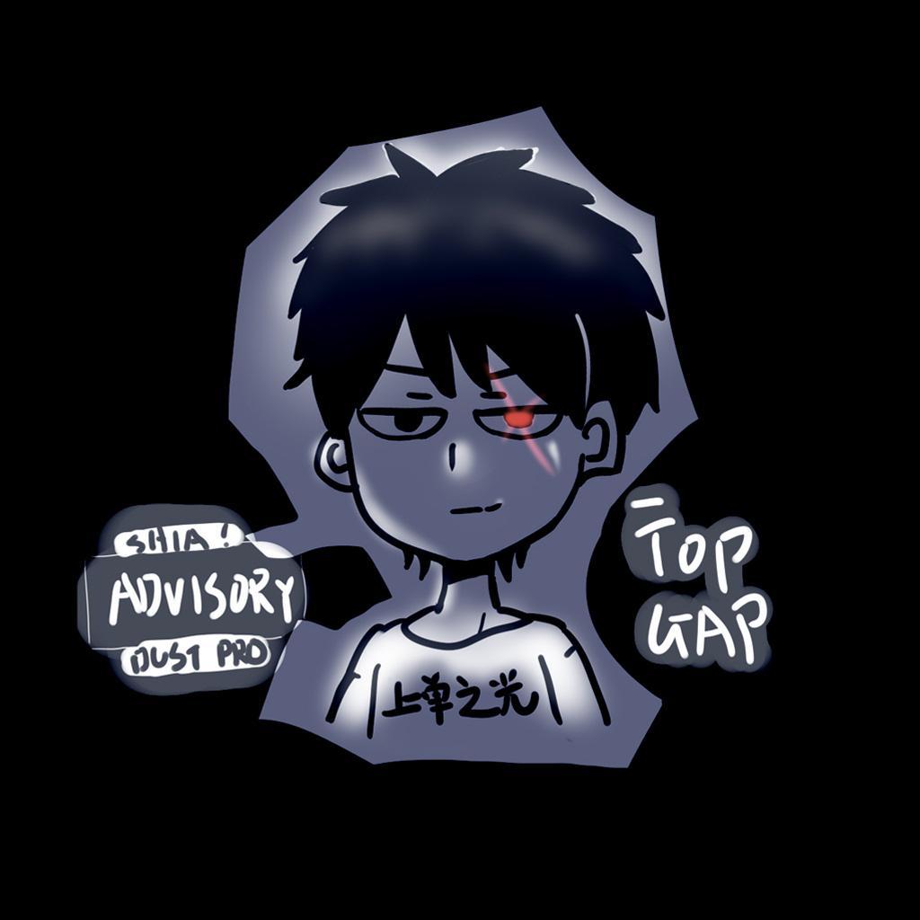 Top Gap（上单之光）