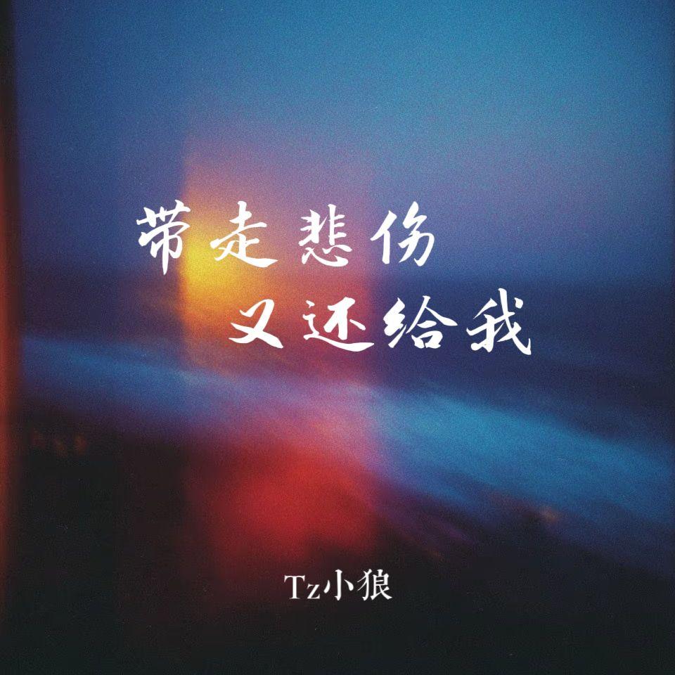 带走悲伤又还给我