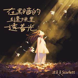 泡芙芙Scarlett - 在黑暗的缝隙里透着光（原版伴奏）