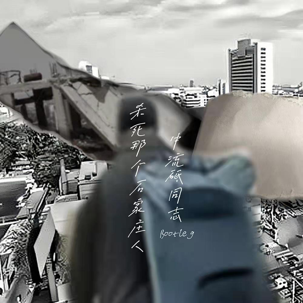 万能青年旅店-杀死那个石家庄人（中流砥同志 bootleg）